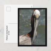 Pelican Terugkijkend op mij Holiday Briefkaart (Voorkant / Achterkant)