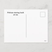Pelican Terugkijkend op mij Holiday Briefkaart (Achterkant)
