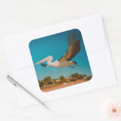 Pelican Vierkante Sticker (Envelop)