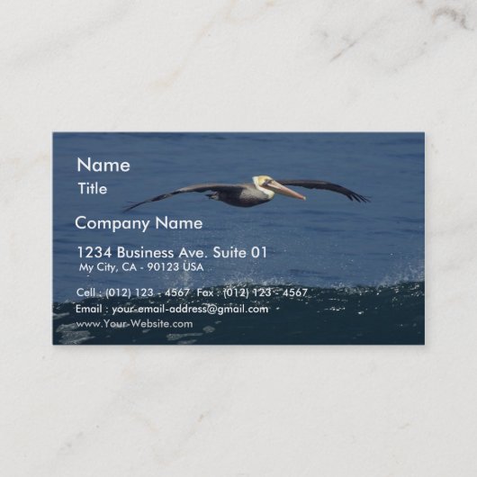 Pelican Visitekaartje (Voorkant)