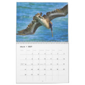Pelicans Agenda Kalender (Mar 2027)