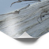 Pélicans au-dessus de l'océan Photo (Coin)