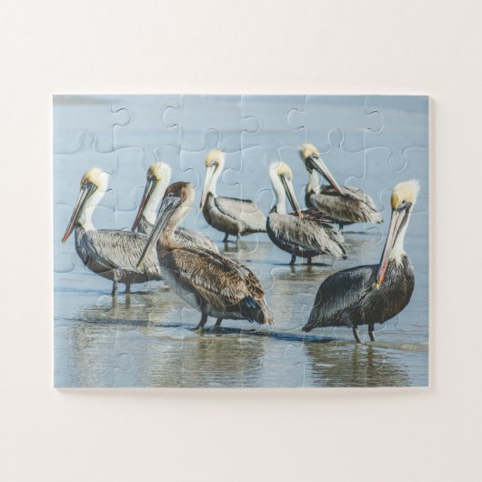 Pelicans Bird Natuur Beach Oversize Legpuzzel (Horizontaal)