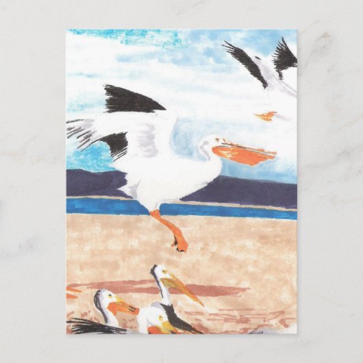 Pelicans Briefkaart (Voorkant)