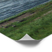 Pelicans doen mee aan de ganzen poster (Hoek)