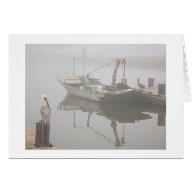 Pélicans et bateau de crevette (Devant horizontal)