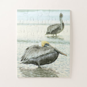 Pelicans Florida stranden overgroot Legpuzzel