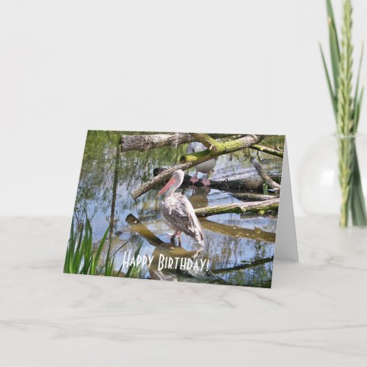 PELICANS KAART (Voorkant)