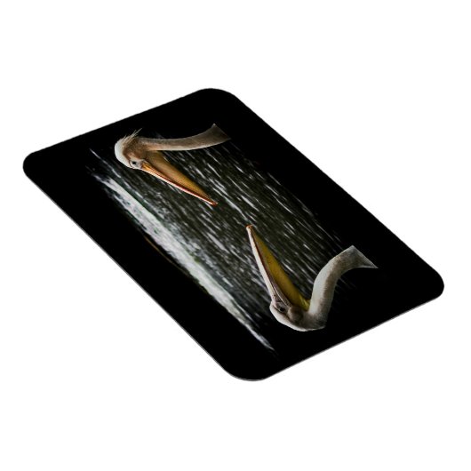 PELICANS LOVERS MAGNET (Côté Droit)