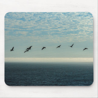 Pelicans Muismat