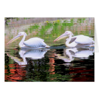 Pélicans nageant dans un lac