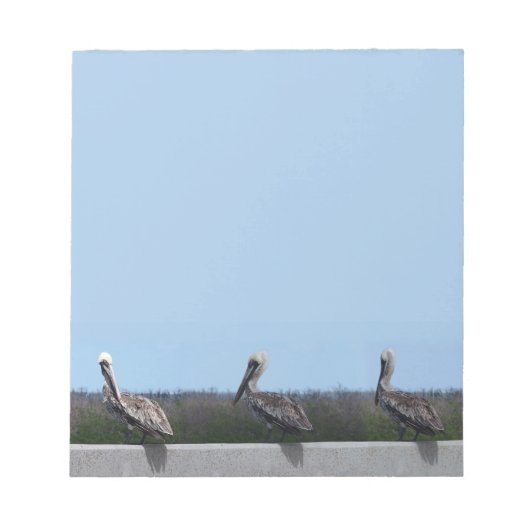 Pelicans Notitieblok (Voorkant)