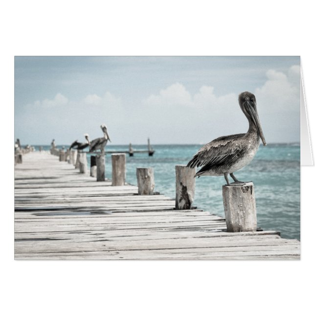 Pelicans On The Pier (Voorkant Horizontaal)
