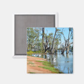 Pelicans Sunbaking River Murray, aimant (Recto/Verso)