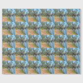 Pelicans Sunbaking River Murray, Papier Cadeau (Plat)