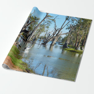 Pelicans Sunbaking River Murray, Papier Cadeau