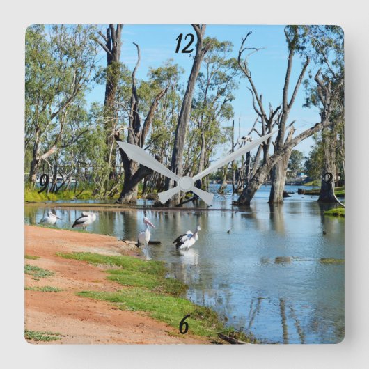 Pelicans Sunbaking River Murray, Wall Clock Vierkante Klok (Voorkant)