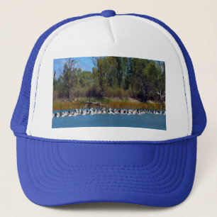 Pelicans Vist Murray Australië, Trucker Pet