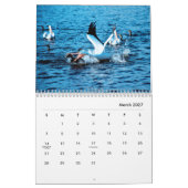 Pelicans Wall Agenda Kalender (Mar 2027)