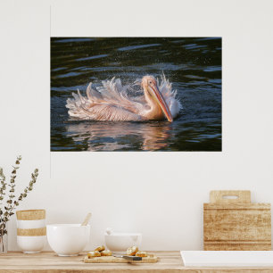 Pelikaan in beweging poster