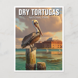 Pelikaan in Dry Tortugas National Park Briefkaart