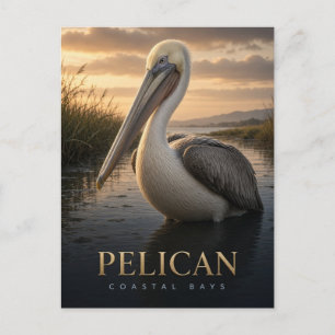 Pelikaan Kustbaaien Wildlife DIER Briefkaart