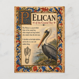 Pelikaan, Middeleeuwse Bestiarium Kunst Briefkaart