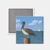 Pelikaan op een Post Magnet Magneet (Voorkant / Achterkant)