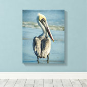 Pelikaan op een strand van Florida Canvas Afdruk (Insitu (Houten vloer))
