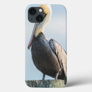Pelikaan op pijler iPhone 13 hoesje