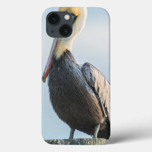Pelikaan op pyloon geperst iPhone 13 hoesje