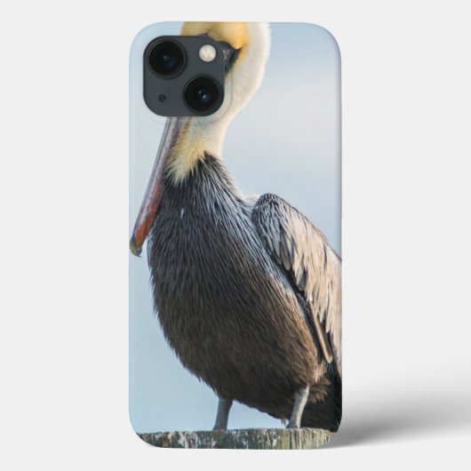 Pelikaan op pyloon geperst Case-Mate iPhone case (Achterkant)