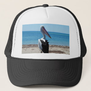 Pelikaan Op Strand Rots, Trucker Pet