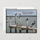 Pelikaan rust op een dok feestdagenkaart (Voorkant / Achterkant)