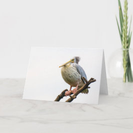 Pelikaan, Tanzania Kaart