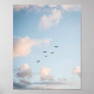 Pelikaan Zonsondergang Print Poster Papier (Halfgl