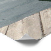 Pelikaan Zwemmen in het Water Poster (Hoek)