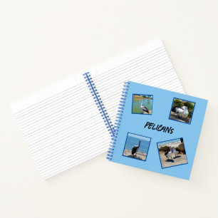 Pelikanen de wereld coolste vogel vier fotolijsten notitieboek