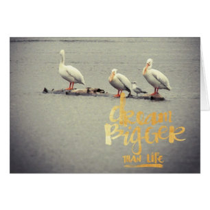 Pelikanen en Seagull Dream Bigger Inspiratie