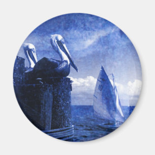 Pelikanen in blauw magneet