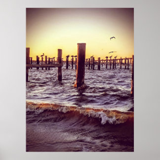 Pelikanen in de baai poster