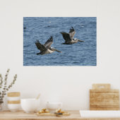 Pelikanen in de vlucht poster (Keuken)