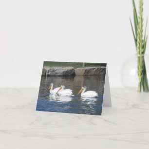 Pelikanen Notecards Kaart