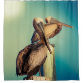 Pelikanen op Dawn Douchegordijn (Voorkant)