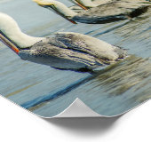Pelikanen op een Poster van Florida Beach (Hoek)
