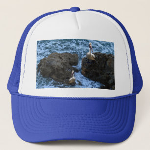 Pelikanen op Zee Rocks, Trucker Pet