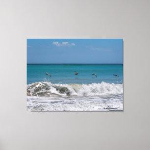 Pelikanen over de Atlantische oceaan Canvas Afdruk