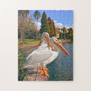 Pelikanen van Florida. Jigzaag Puzzle Legpuzzel