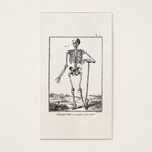Pelle vintage cultivant l'anatomie squelettique