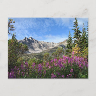 Pelly Mountain Vista Briefkaart